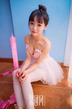 报告夫人漫画