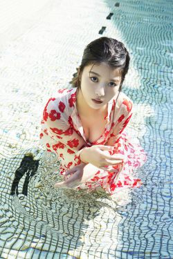 新红楼梦电视剧